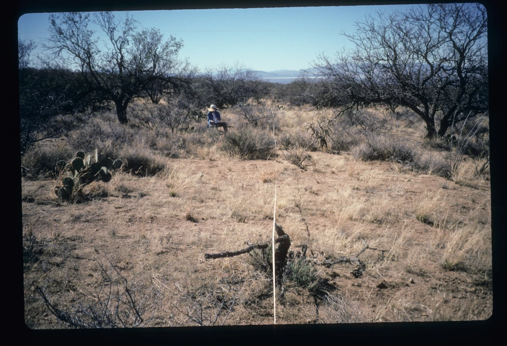 6A_39_from_0_1997_Feb_14.jpg