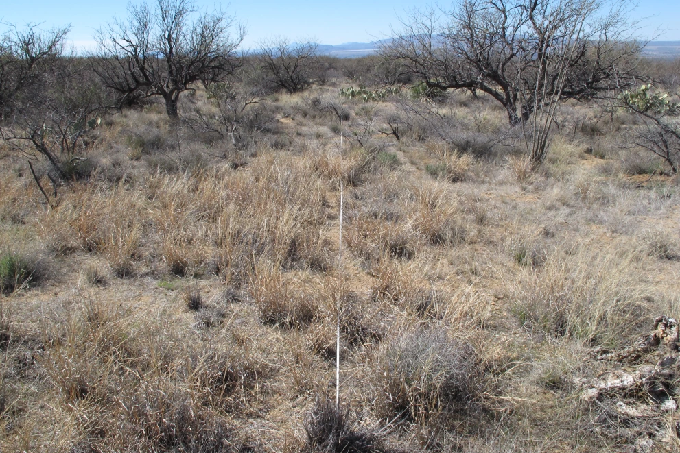 6A_39_from_0_2015_Feb_27.JPG