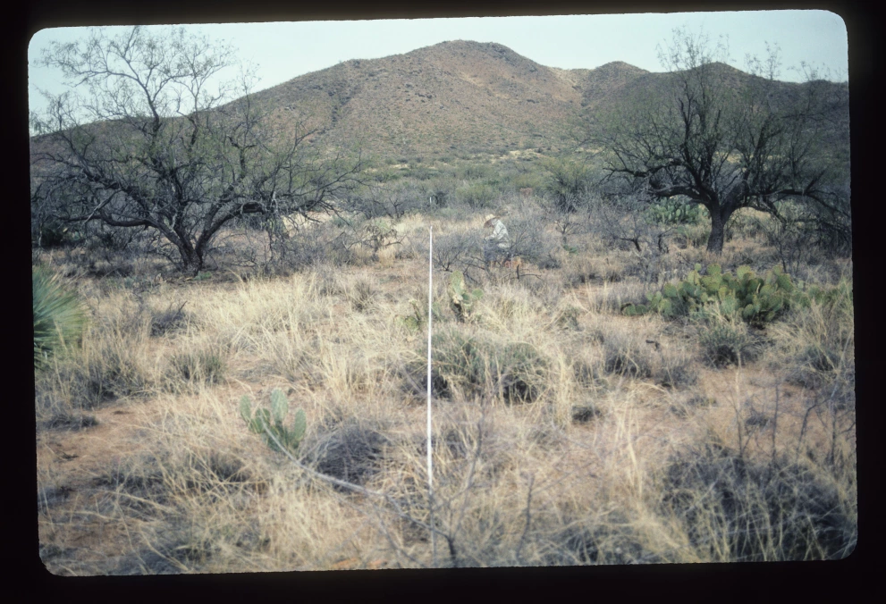 6A_39_from_100_2003_Mar_03.jpg