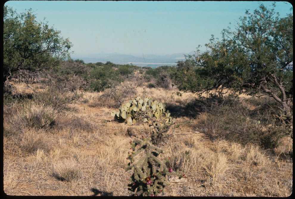 6A_39_from_10_1975_Jun_11.jpg