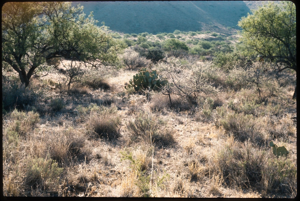 6A_39_from_90_1975_Jun_11.jpg