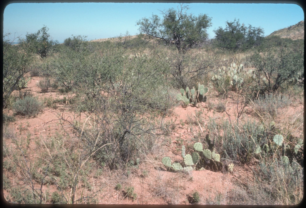 6A_3_from_0_1984_Oct_06.jpg