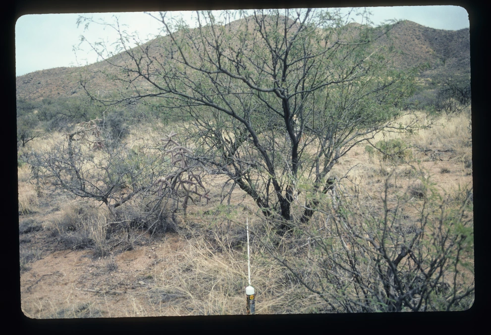 6A_40_from_0_2003_Mar_03.jpg