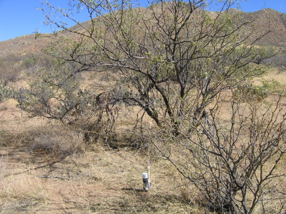 6A_40_from_0_2006_Jan_31.JPG