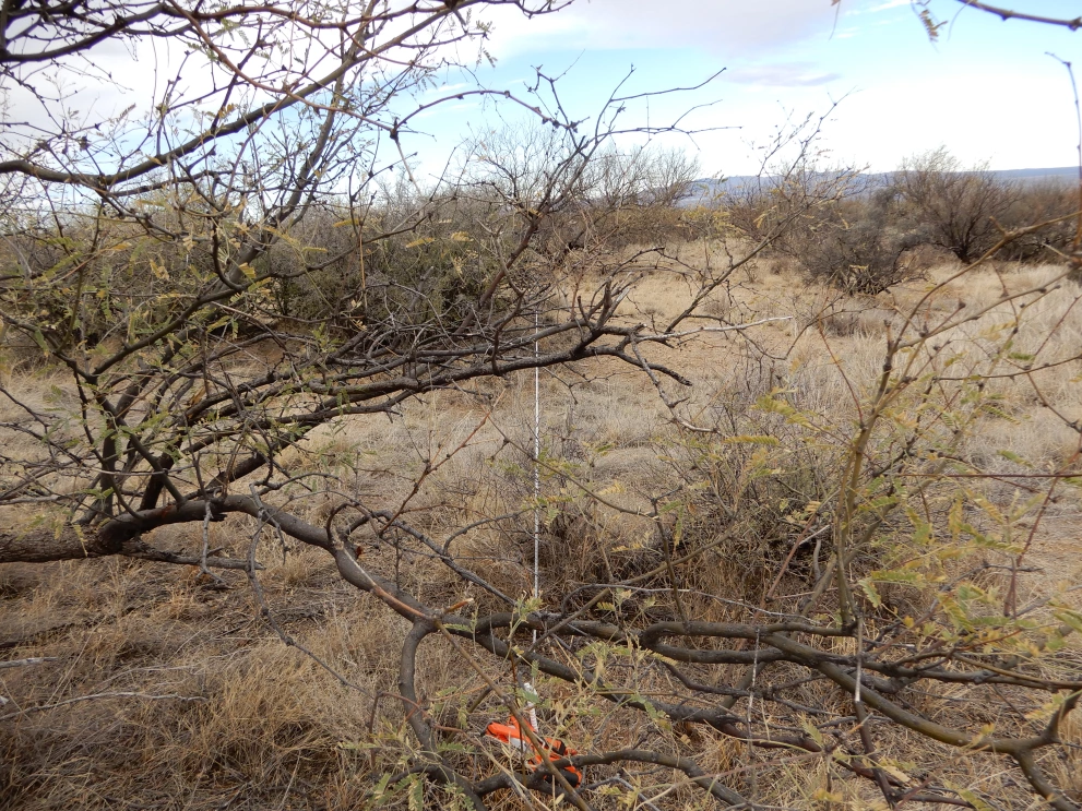 6A_40_from_100_2021_Feb_10.JPG