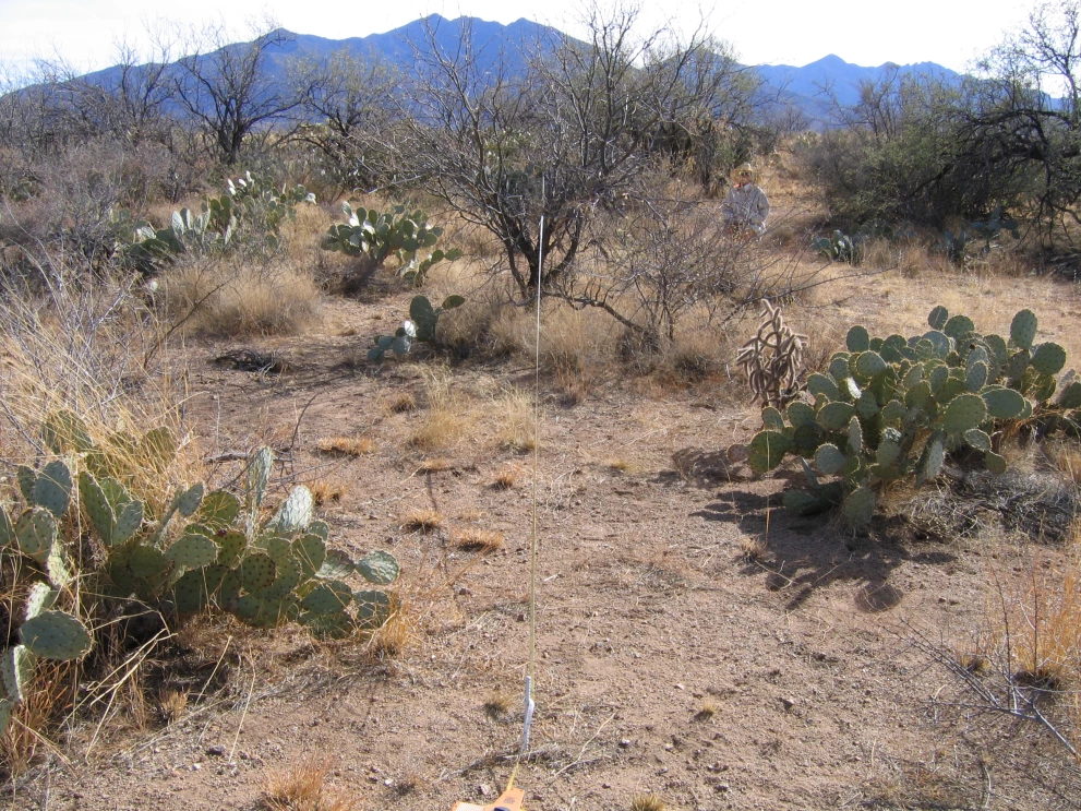 6A_41_from_100_2006_Feb_21.JPG