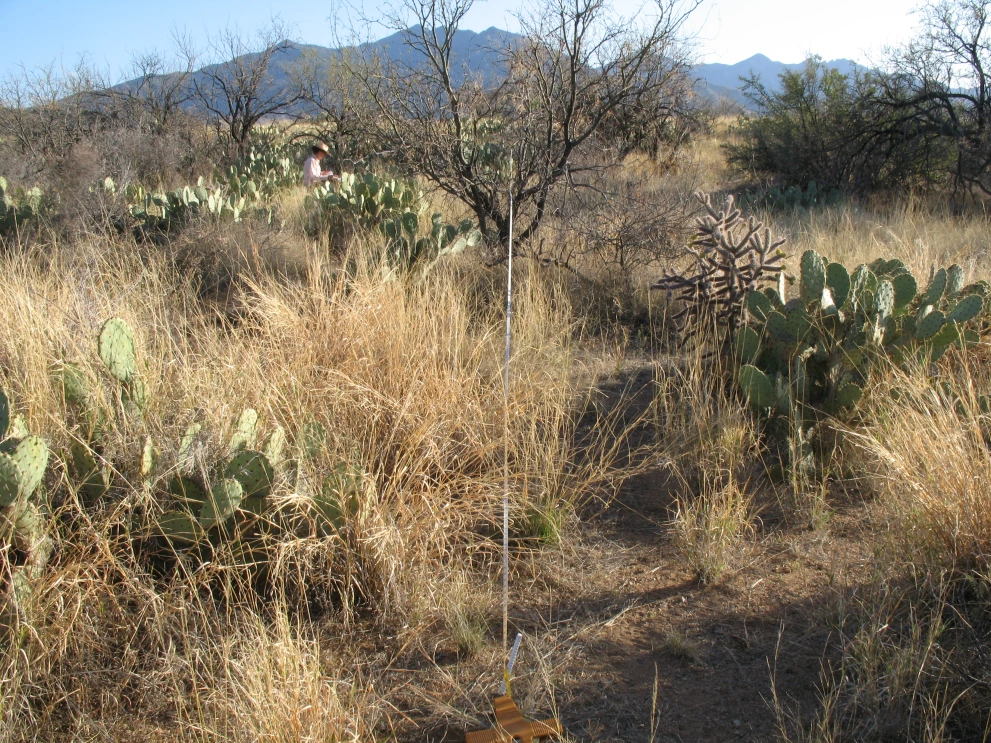 6A_41_from_100_2009_Mar_13.JPG