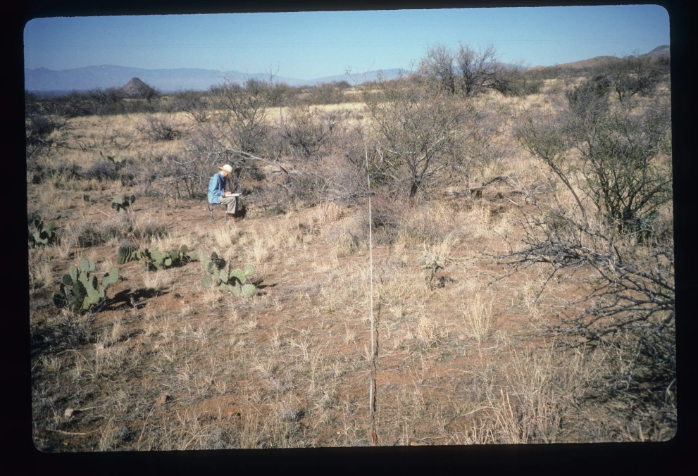 6A_42_from_0_1997_Feb_09.jpg