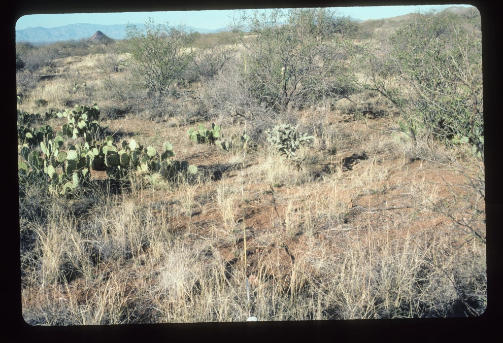 6A_42_from_0_2003_Mar_07.jpg