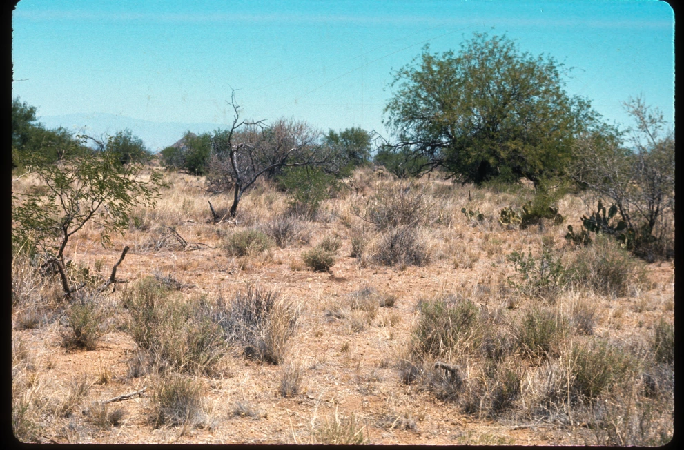 6A_44_from_0_1975_Jun_11.jpg