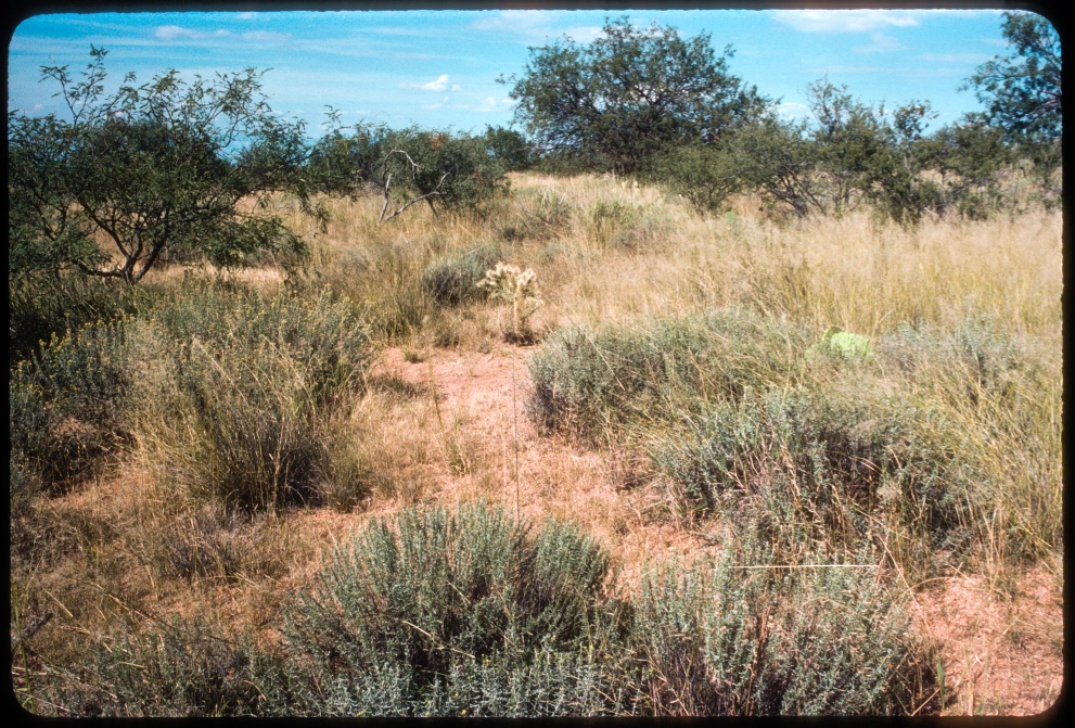 6A_44_from_0_1984_Sep_29.jpg