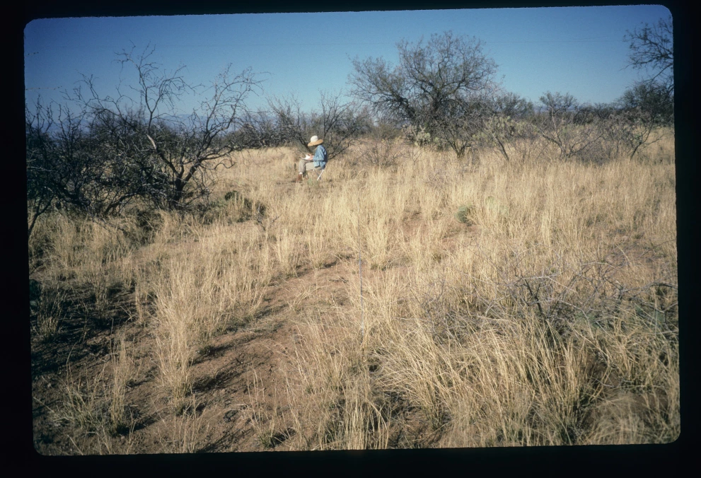 6A_44_from_0_1997_Feb_09.jpg