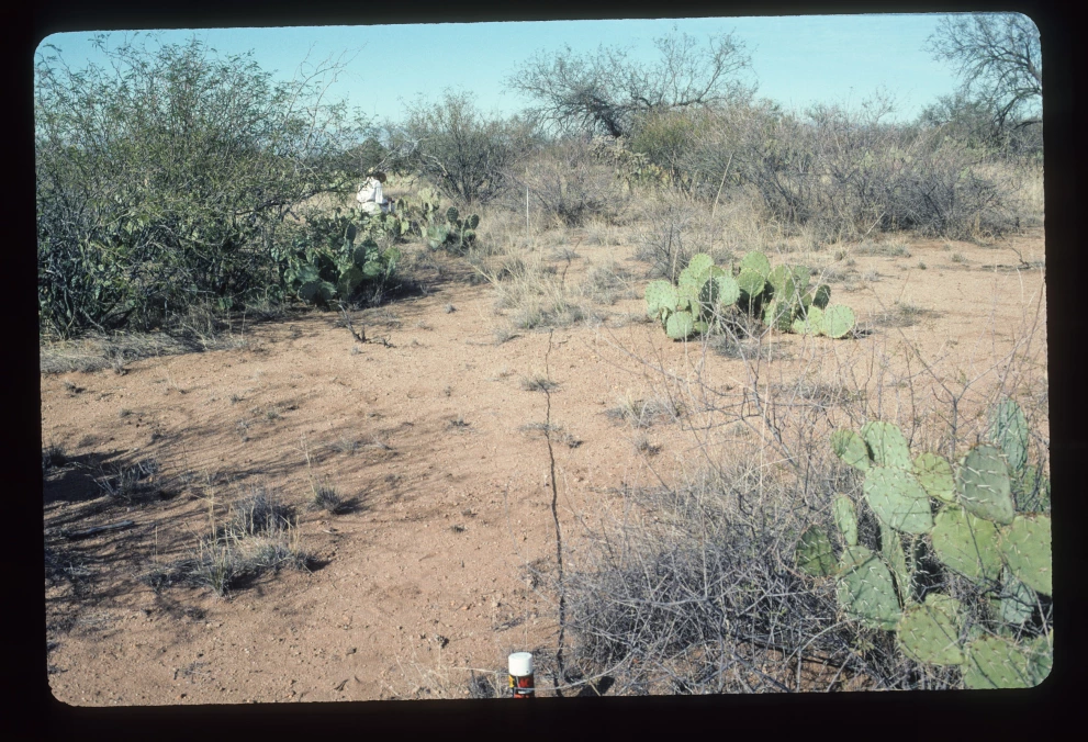 6A_44_from_0_2003_Mar_07.jpg
