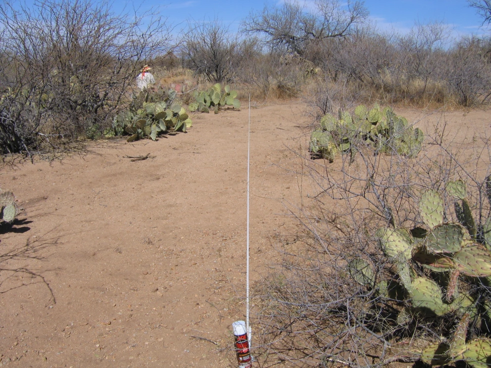 6A_44_from_0_2006_Feb_21.JPG