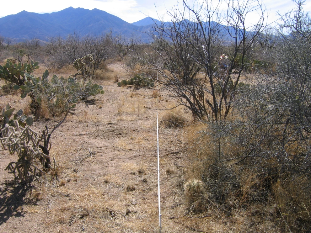 6A_44_from_100_2006_Feb_21.JPG