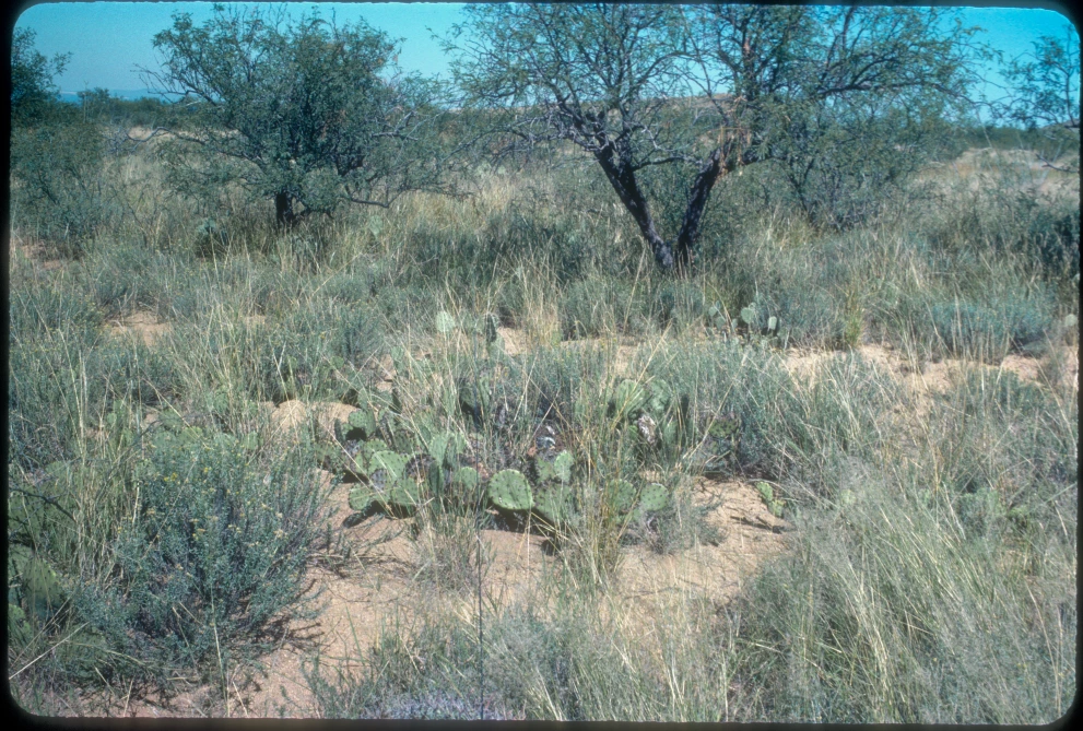 6A_4_from_0_1984_Sep_29.jpg