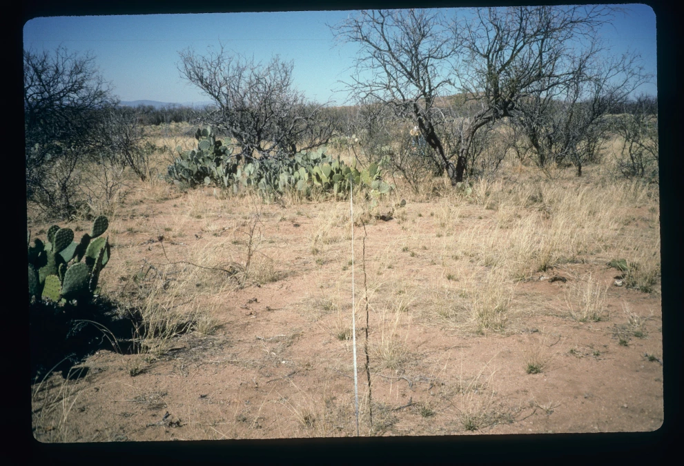 6A_4_from_0_1997_Feb_09.jpg
