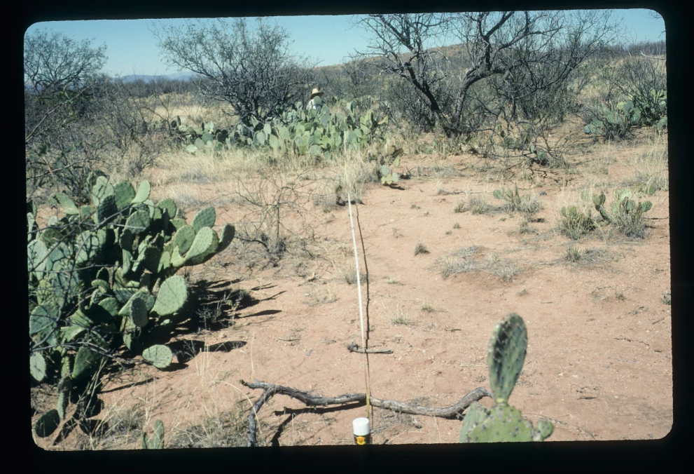 6A_4_from_0_2003_Mar_07.jpg