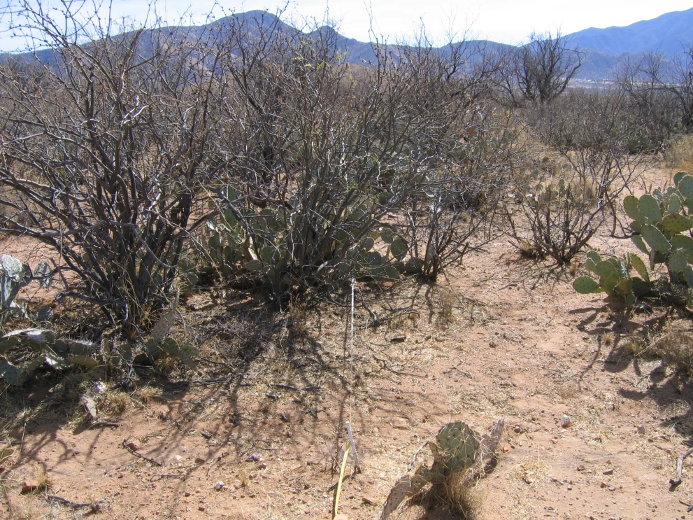 6A_4_from_100_2006_Feb_16.JPG