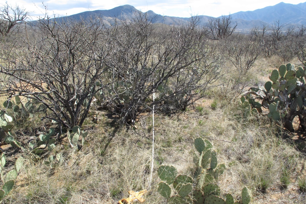 6A_4_from_100_2015_Mar_09.JPG