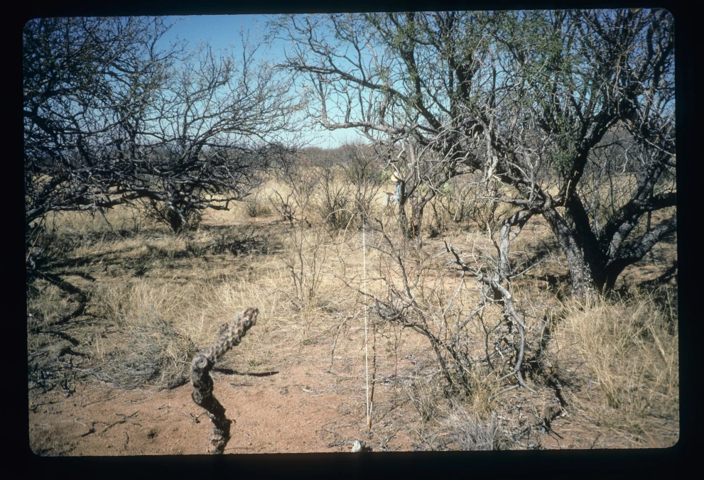 6A_5_from_0_1997_Feb_09.jpg