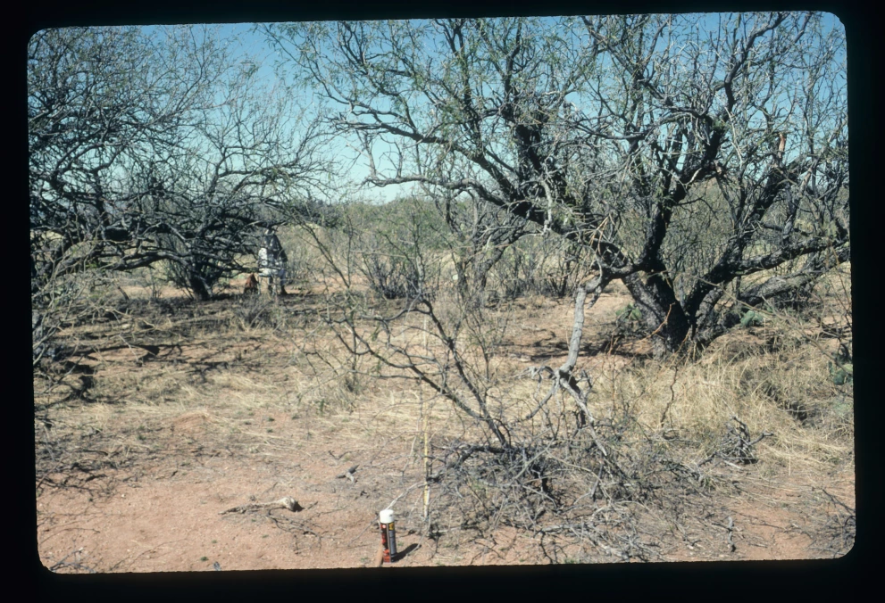 6A_5_from_0_2003_Mar_07.jpg