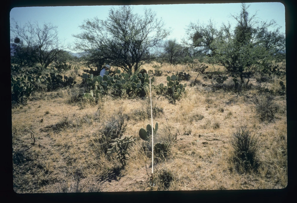 6B_1E_from_0_1997_Jan_31.jpg