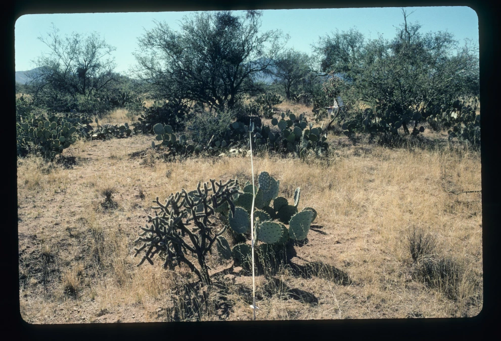 6B_1E_from_0_2003_Jan_27.jpg
