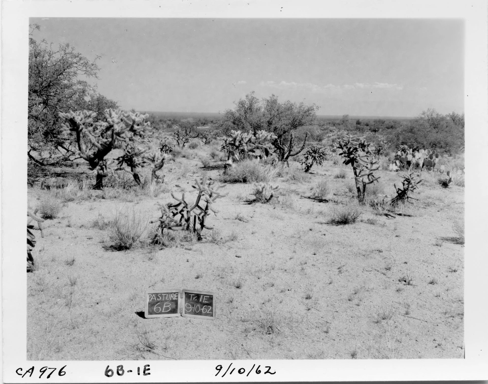 6B_1E_from_100_1962_Sep_10.jpg