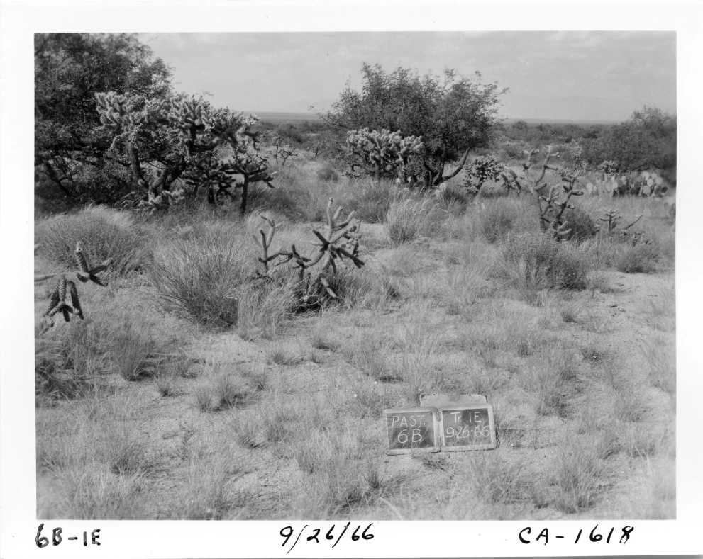 6B_1E_from_100_1966_Sep_26.jpg