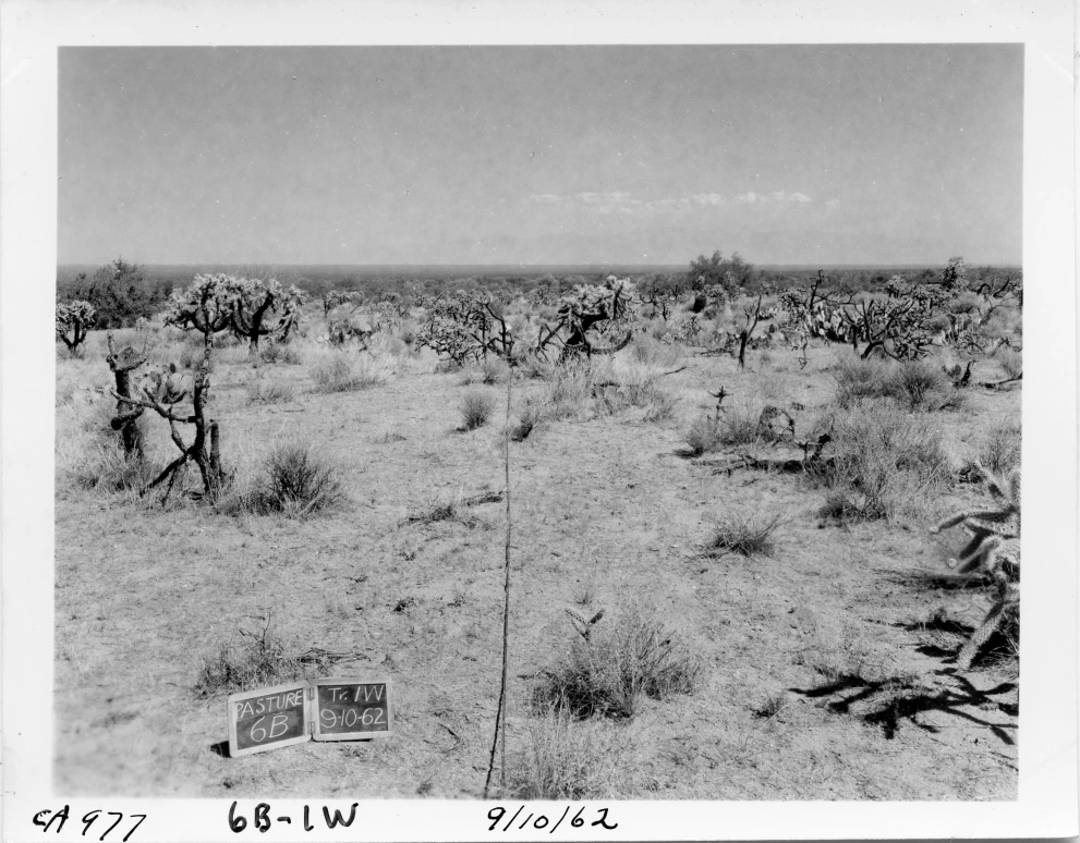 6B_1W_from_100_1962_Sep_10.jpg