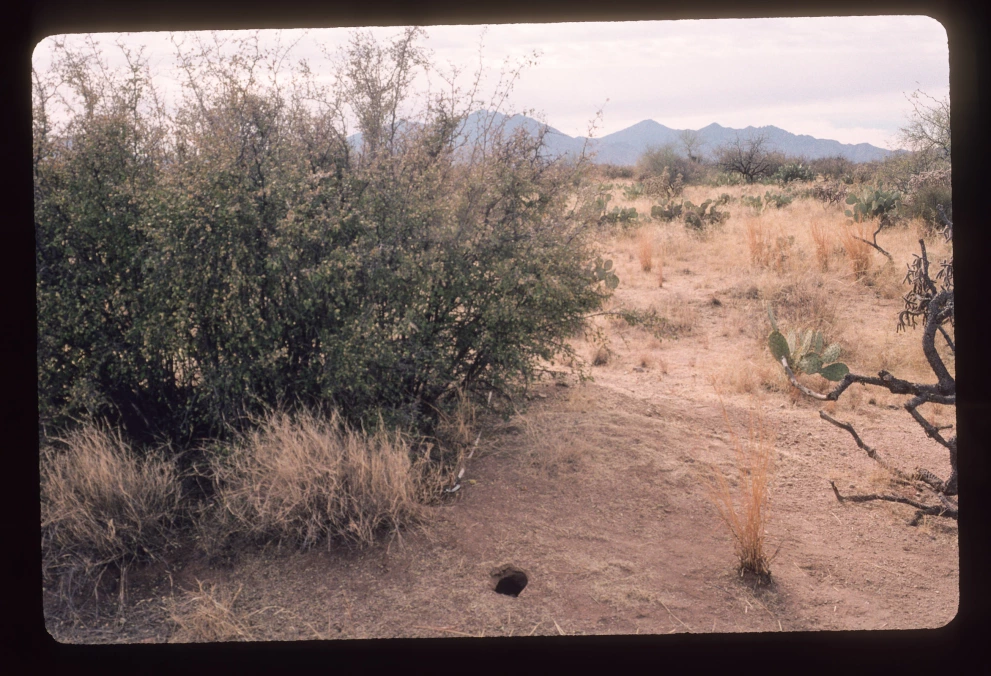 6B_2E_from_0_2000_Jan_31.jpg