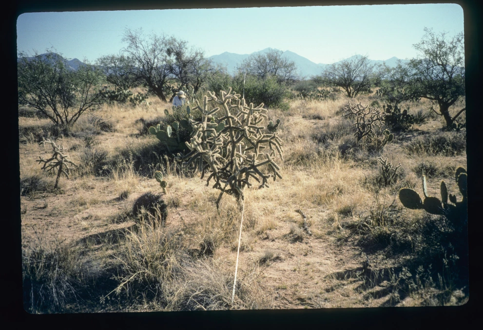 6B_2W_from_0_1997_Jan_31.jpg