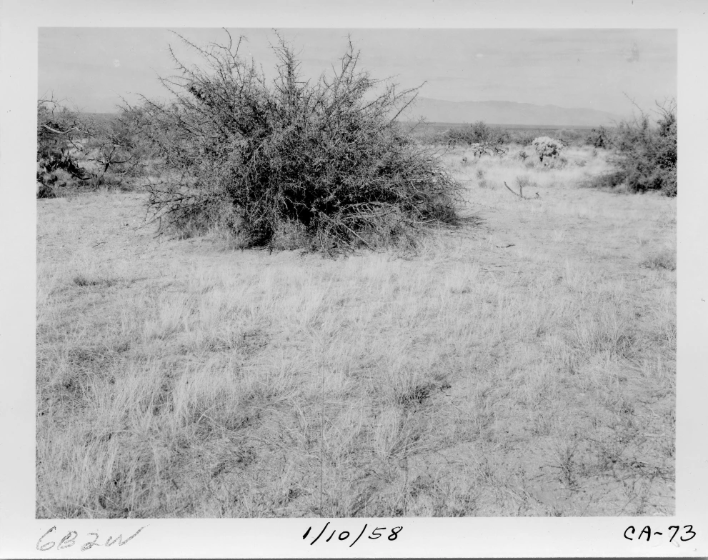 6B_2W_from_100_1958_Jan_10.jpg