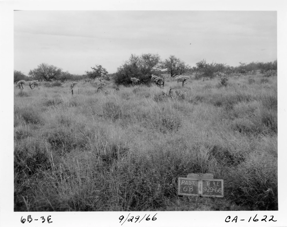 6B_3E_from_100_1966_Sep_29.jpg
