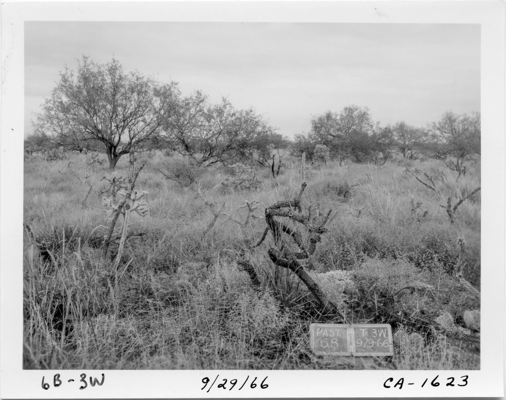 6B_3W_from_100_1966_Sep_29.jpg