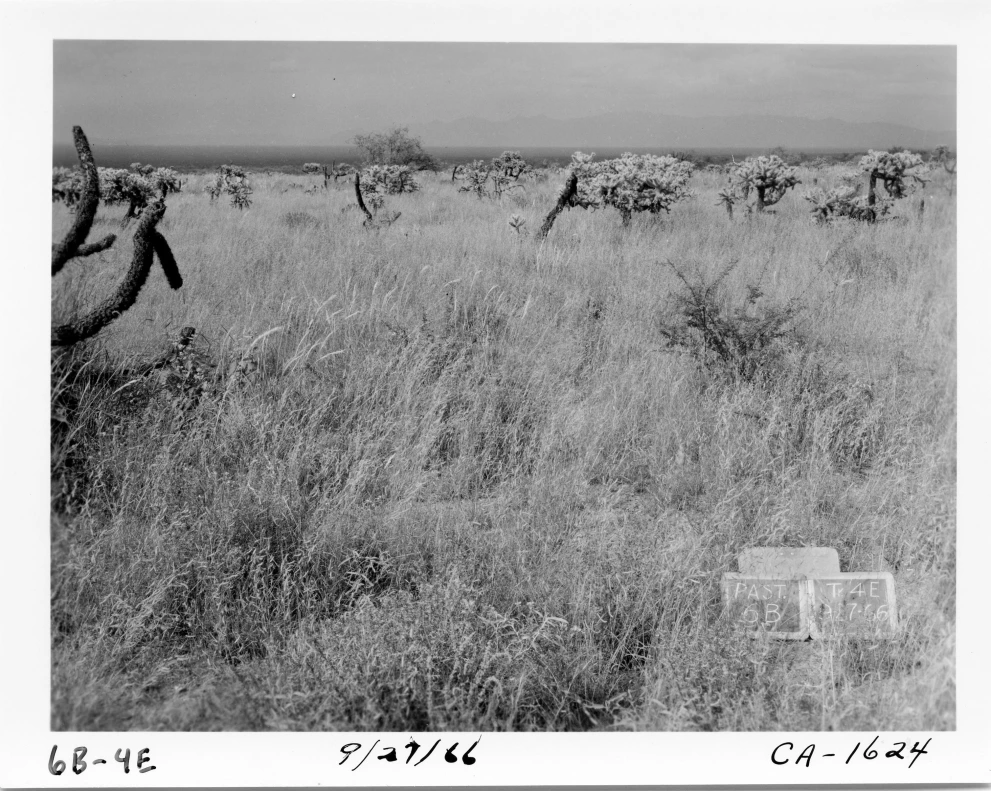 6B_4E_from_100_1966_Sep_27.jpg