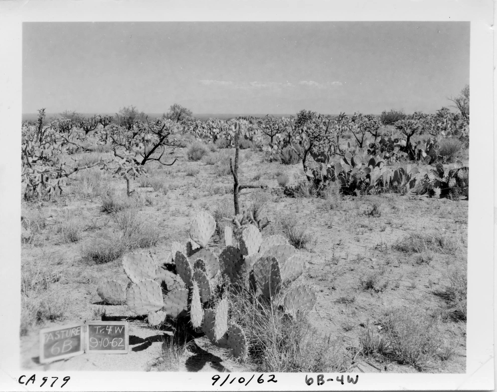 6B_4W_from_100_1962_Sep_10.jpg