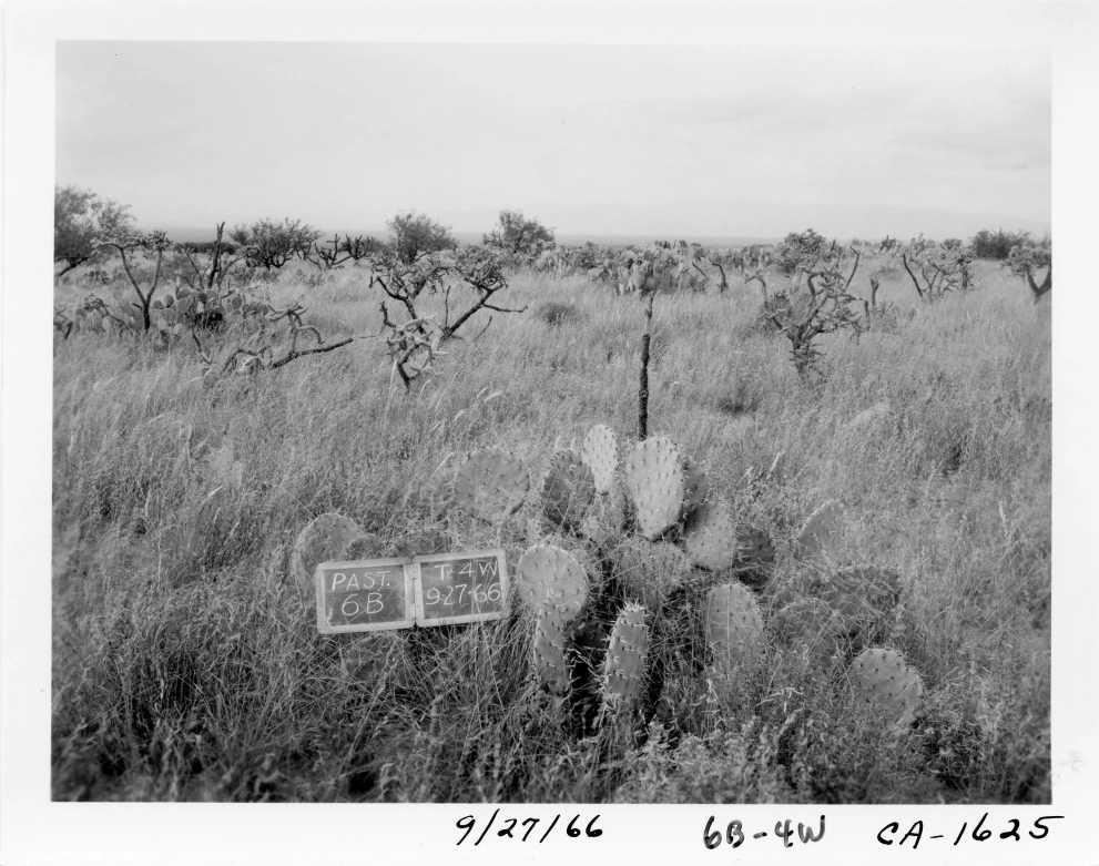 6B_4W_from_100_1966_Sep_27.jpg