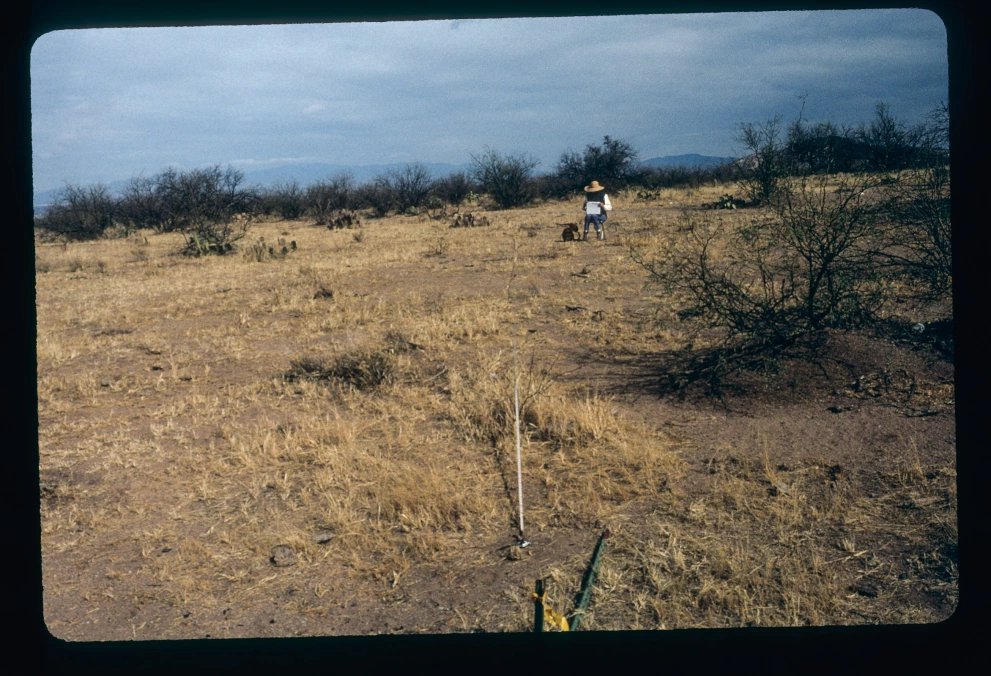 6B_51_from_0_2000_Feb_21.jpg