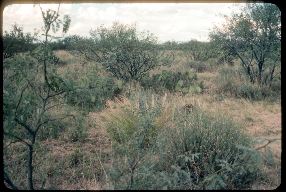 6B_52_from_0_1984_Oct_01.jpg