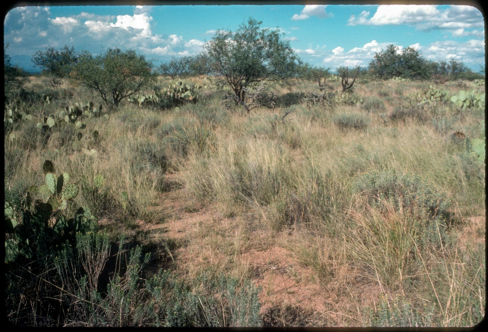 6B_53_from_0_1984_Oct_01.jpg