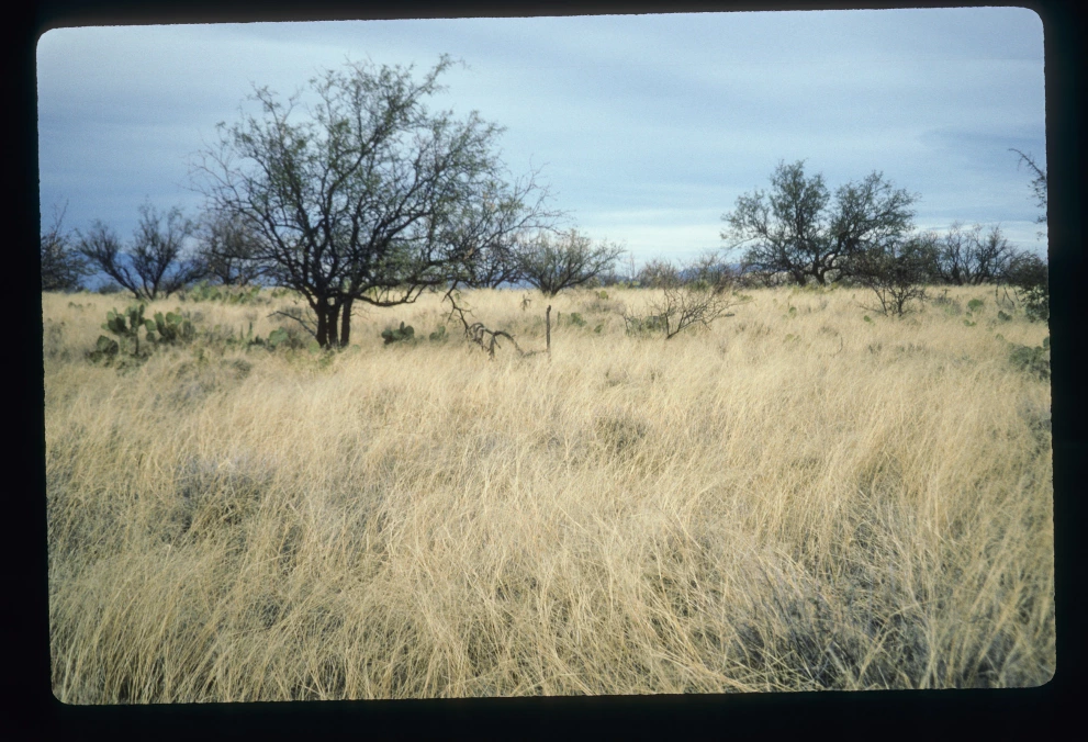 6B_53_from_0_1997_Jan_25.jpg