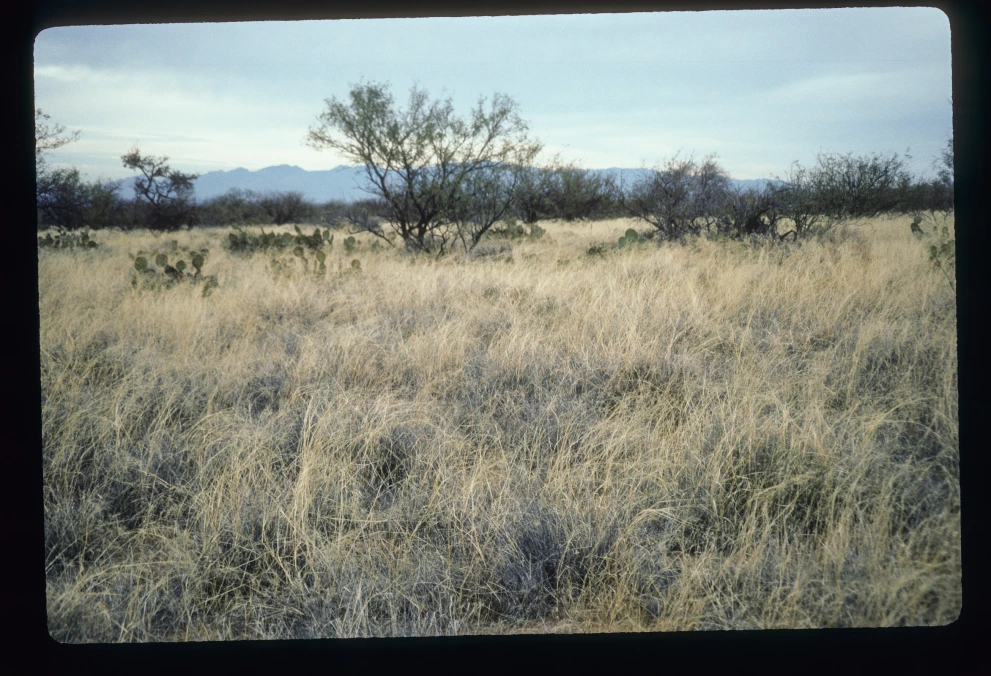 6B_55_from_0_1997_Jan_25.jpg