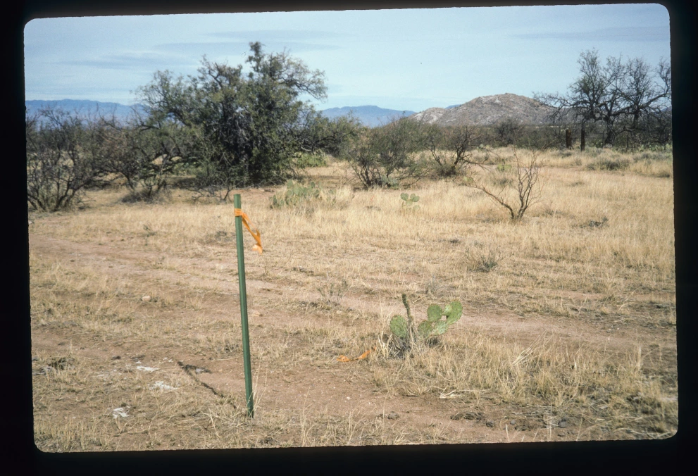 6B_56_from_0_1997_Jan_25.jpg