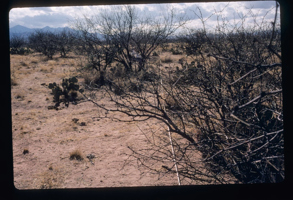 6B_57_from_0_2000_Feb_21.jpg