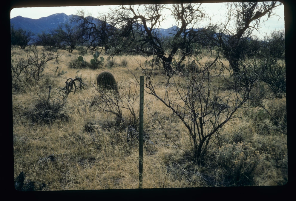 6B_58_from_0_1997_Jan_25.jpg