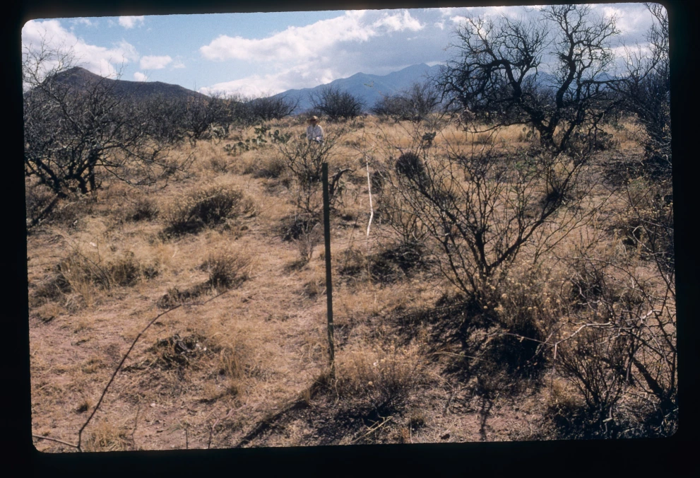 6B_58_from_0_2000_Feb_21.jpg