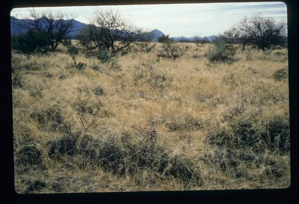 6B_59_from_0_1997_Jan_25.jpg