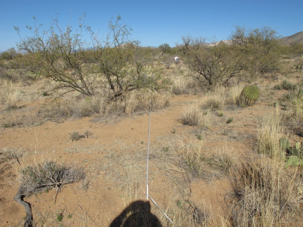 6B_59_from_100_2012_Feb_13.JPG